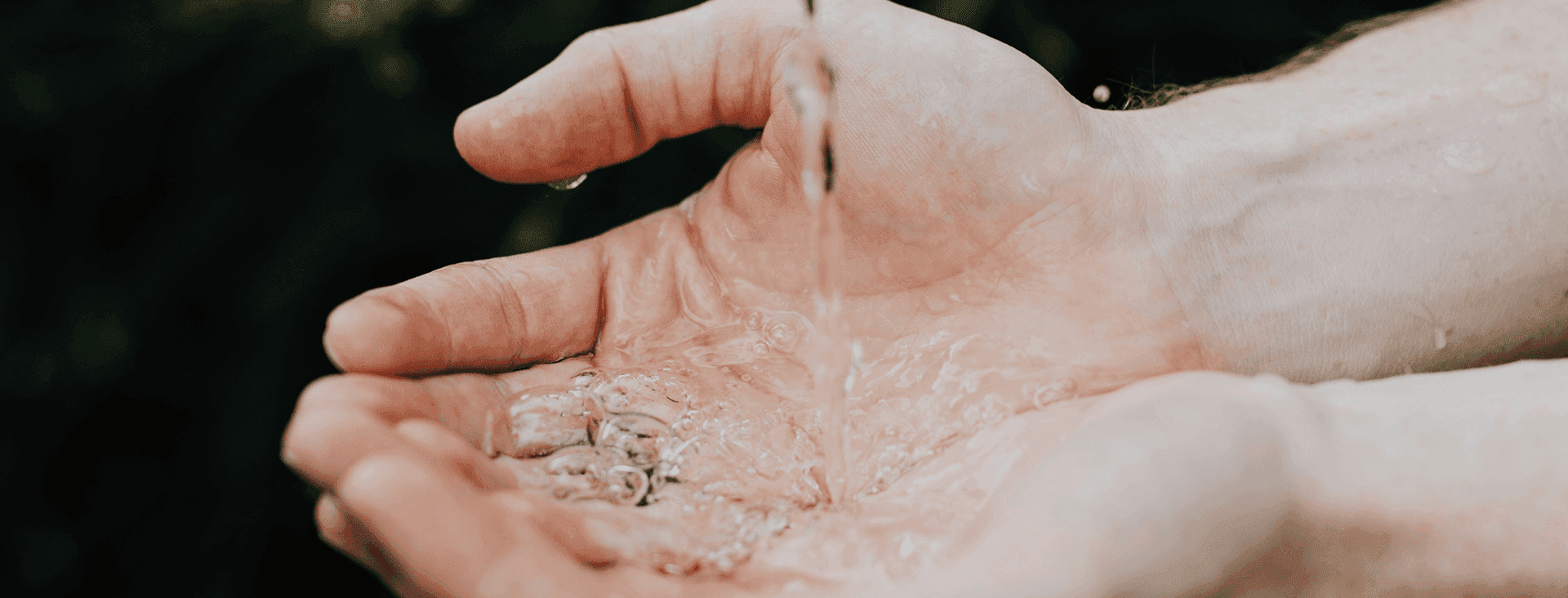 Creating Environmental Impact Through Action